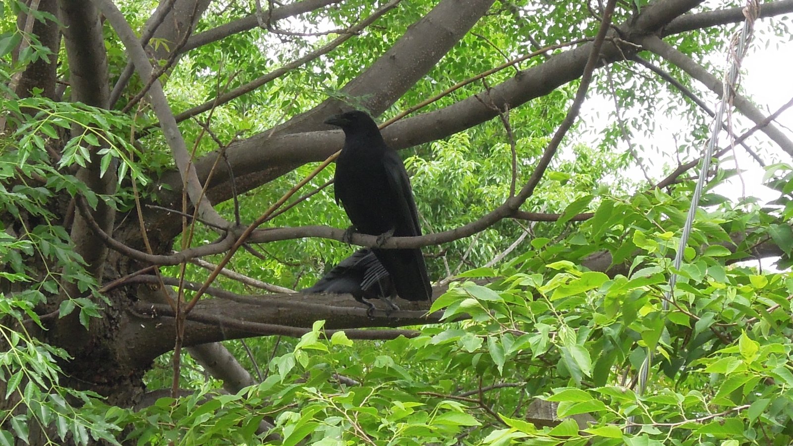 תמונה - 0 (22).JPG